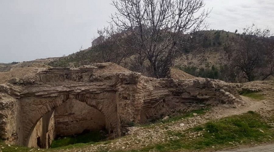 400 y�ll�k tarihi hamam�n i�inde incir a�ac�