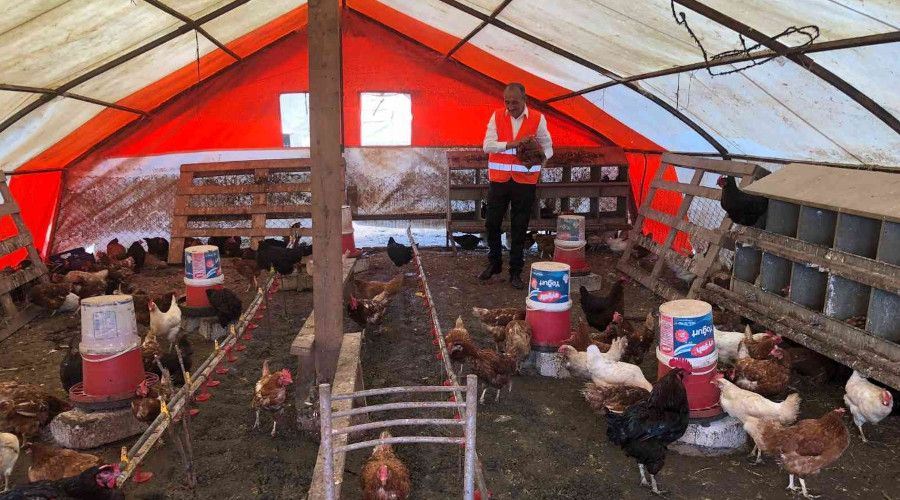 55 yıllık yumurta üreticisinden sıra dışı 'müzikli' yöntem