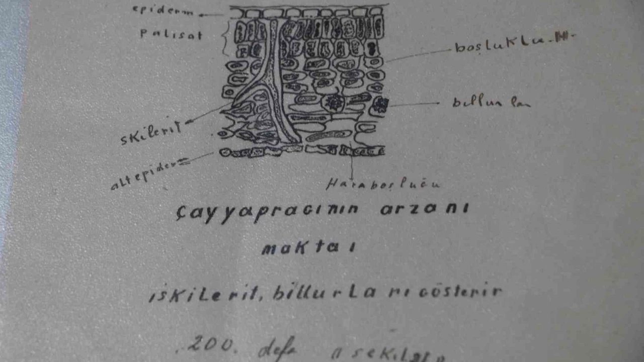 82 y�l �nce yaz�lan kitab�n bas�lmas� i�in �al��ma ba�lat�ld�