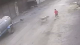 Adana'da 14 yandaki ocuk kpeklerin saldrsna urad