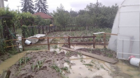 AFAD Düzce için uyardı: "Çok kuvvetli sağanak yağış bekleniyor"