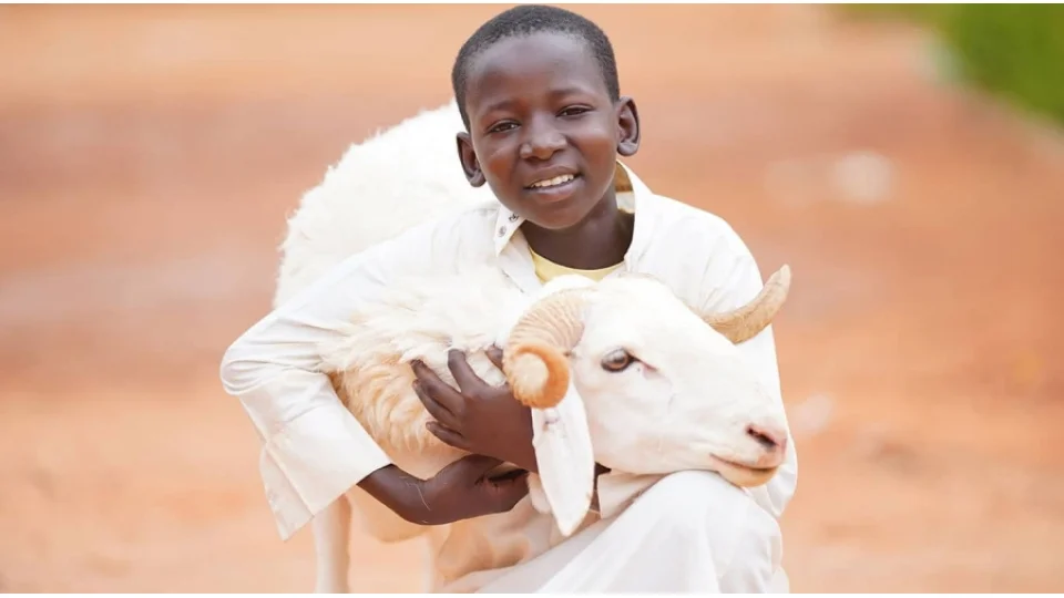 Afrika ve Yurtd��� Kurban Ba���� i�in G�venilir Dernek Nas�l Se�ilir?