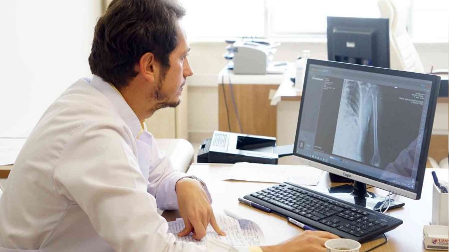 Ağaçtan düşen 3 kişi öldü, onlarca kişi yaralandı: Uzmanı uyardı