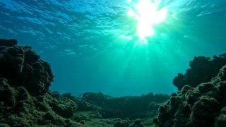 Akdeniz'in altında temiz enerji devrimi