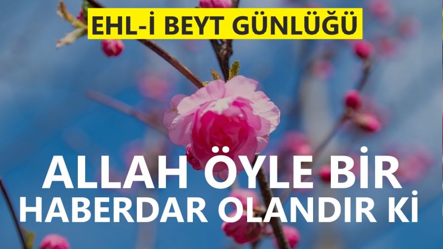 Allah öyle bir haberdar olandır ki