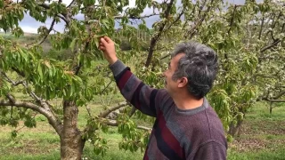 Amasyal ifti: 'rnlerimiz dondu, hayallerimiz kayboldu'