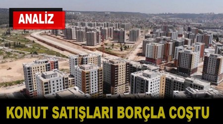 ANALZ -  Konut satlar borla cotu!