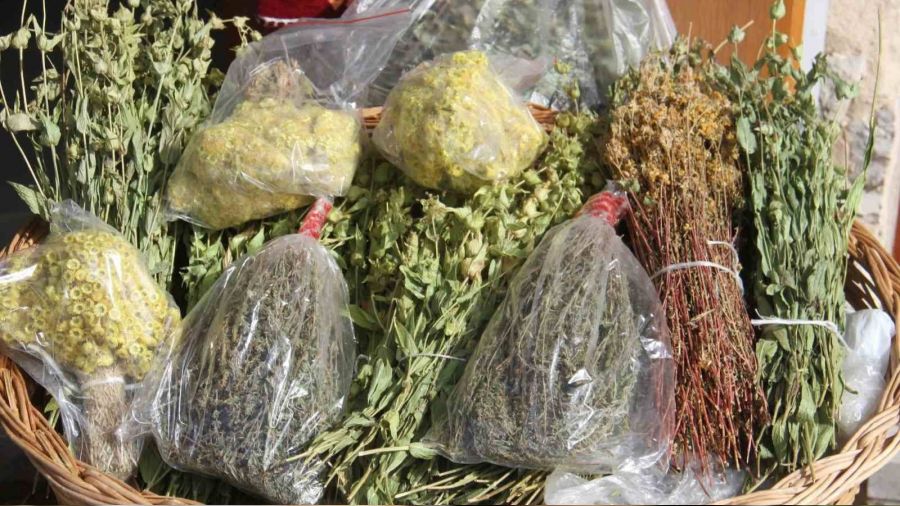 Anamas Dağı'ndan toplanan bitkiler rağbet görüyor