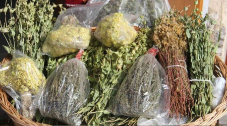 Anamas Dağı'ndan toplanan bitkiler rağbet görüyor