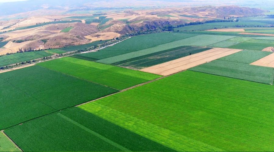 Antalya'da 214 gayrimenkul satışa çıkarıldı