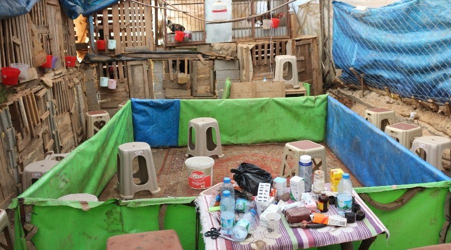 Antalya'da horoz dövüşü baskını: 22 gözaltı