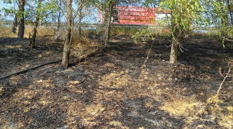 Araçtan atılan izmarit yangına neden oldu