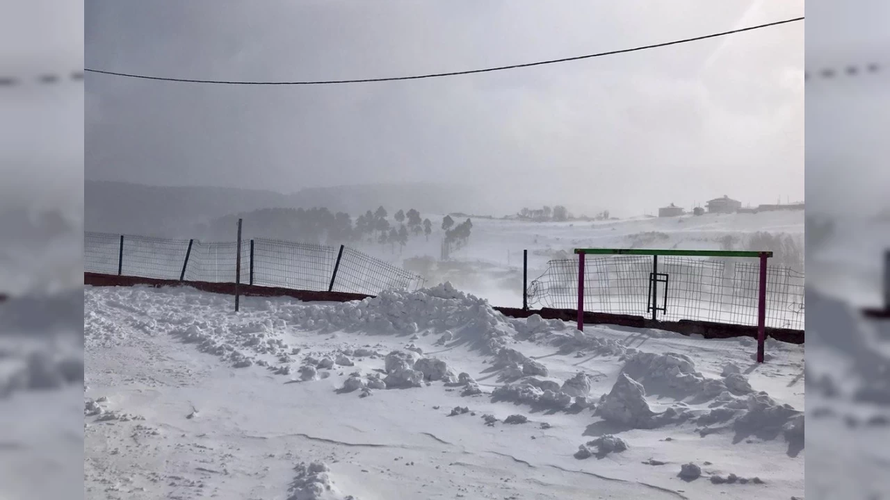 Ardahan'da so�uk hava etkili oldu