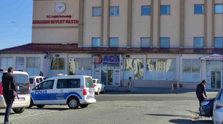 Ardahan'da yıldırımın isabet ettiği genç hayatını kaybetti