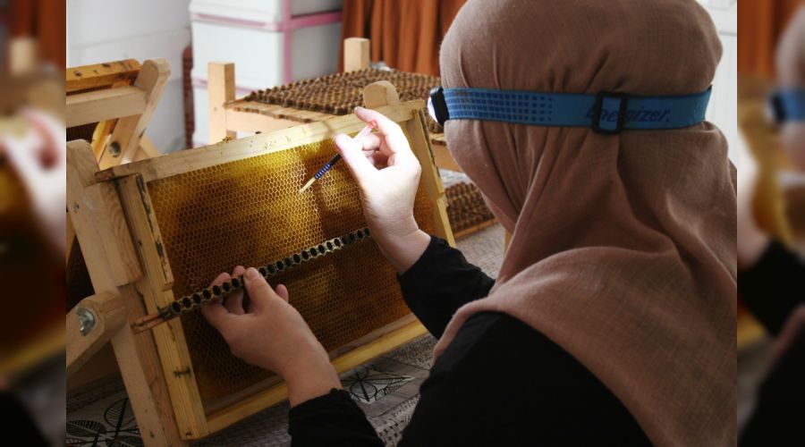 Arı sütüne aile eli değdi