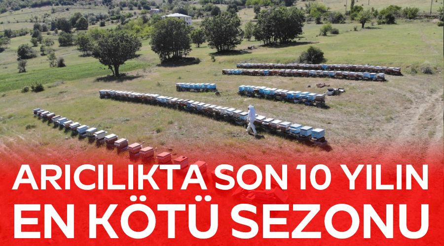 Ar�c�l�kta son 10 y�l�n en k�t� sezonu