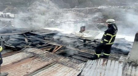 Artvin'de iki ayrı yangın