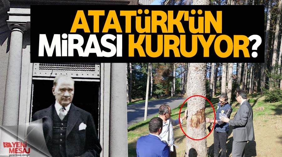 Atat�rk'�n miras� neden kuruyor?