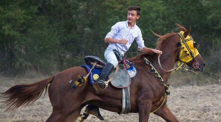 Atlarn arpmas sonucu ar yaralanan gen ciriti yaam mcadelesi veriyor