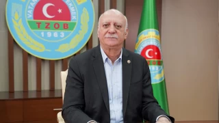 Ayçiçeğinde ithalata bağımlıyız
