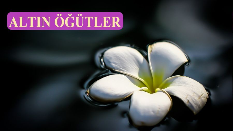Bahtiyar, Allah sevgisinde en ileri olandır