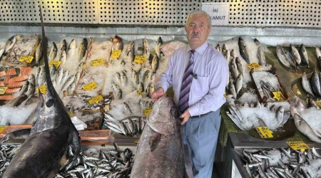 "Balık fiyatlarındaki düşüş sürecek"
