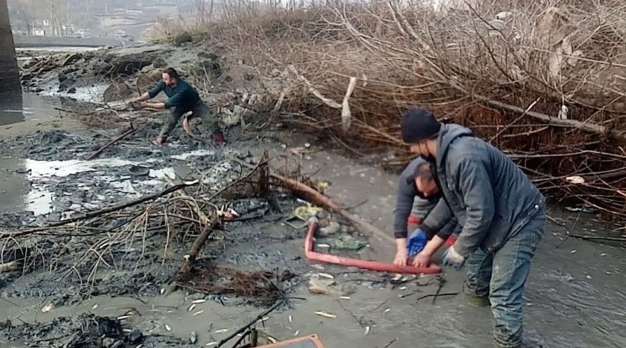 Balıkları kurtarmak için seferber oldular