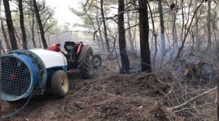 Bayramiç'teki orman yangını devam ediyor