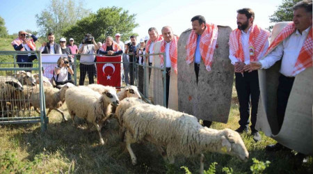 Bergama'da hayvan otlatma sezonu açıldı