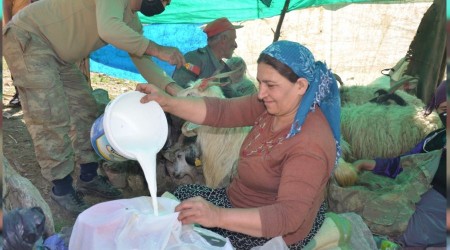 Berivanlar, rnak yaylalarnda st samna balad