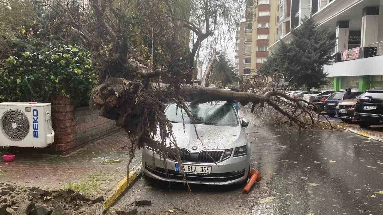 Beylikd�z�'nde r�zgarda devrilen a�a� kad�n�n �zerine d��t�