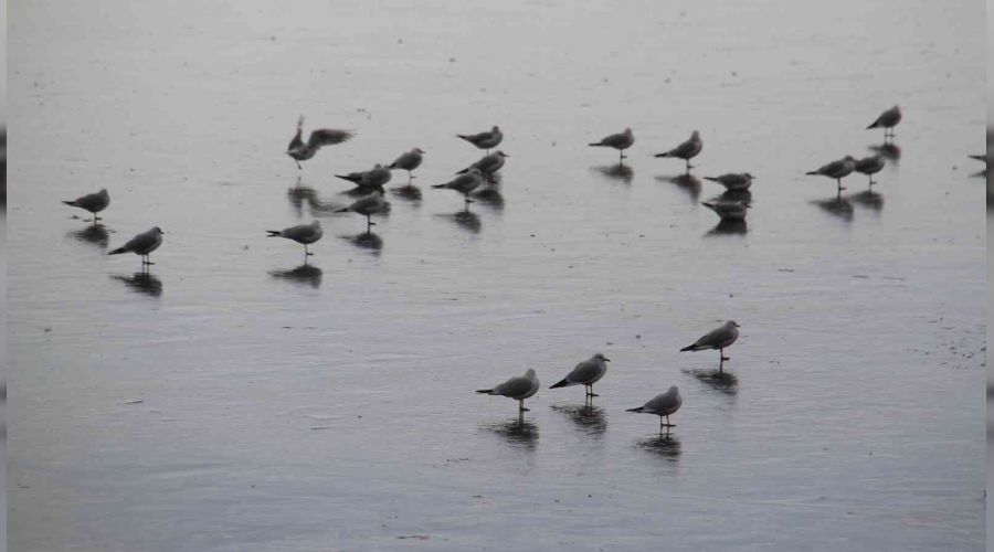 Bey�ehir G�l� k�y�lar� buz tuttu