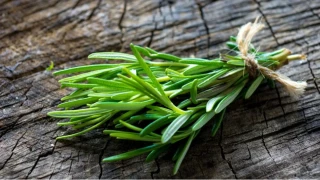Biberiyenin faydaları şaşırtıyor! Kokusu bile hafızayı güçlendiriyor