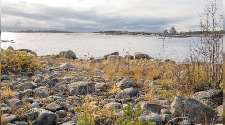 �Bilmiyorum de ki k�t� sonu�lar�ndan kurtulas�n�