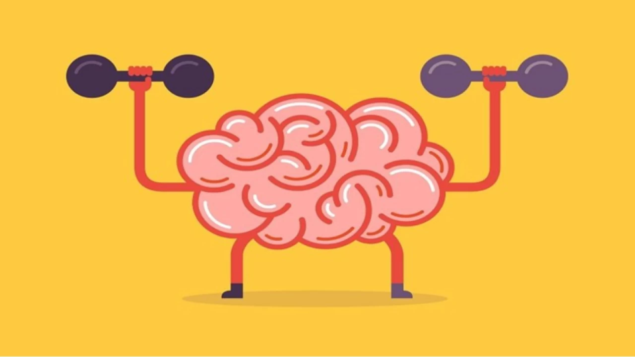 Birden Fazla Dil Konumak Beyne yi Geliyor