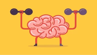 Birden Fazla Dil Konumak Beyne yi Geliyor