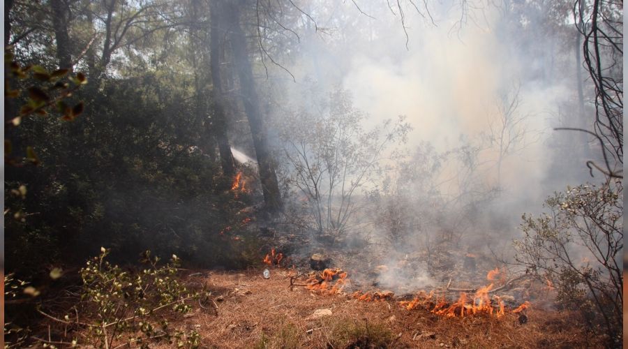 Bodrum'daki yangn blgesinde risk devam ediyor