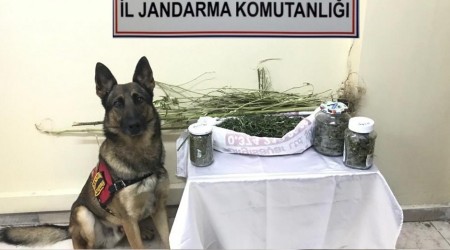 Bolu'da uyuşturucu operasyonu: 8 gözaltı