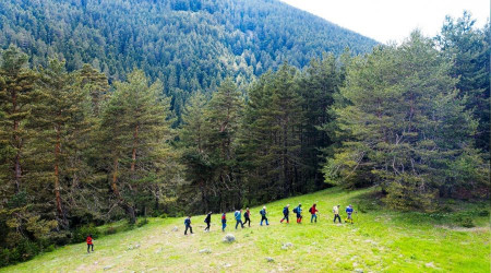 Bozkır'ın yaylaları Karadeniz'i aratmıyor