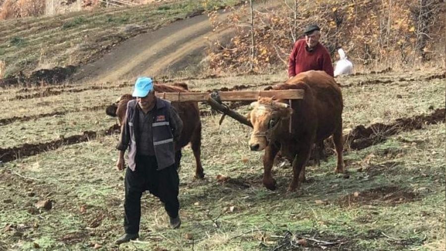 Bu köyde hala 'kara saban' kullanılıyor
