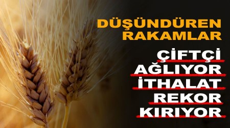 Bu mantıkla nereye kadar? Çiftçi ağlarken ithalatta rekor üstüne rekor