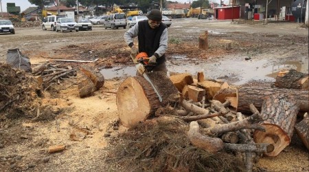 Budanan aa dallar ihtiya sahiplerine yakacak oldu