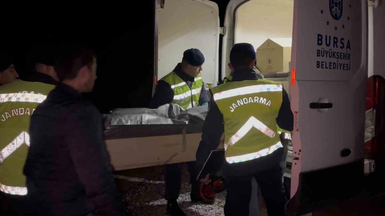 Bursa'da kayıp gencin cesedi ormanda yanmış halde bulundu