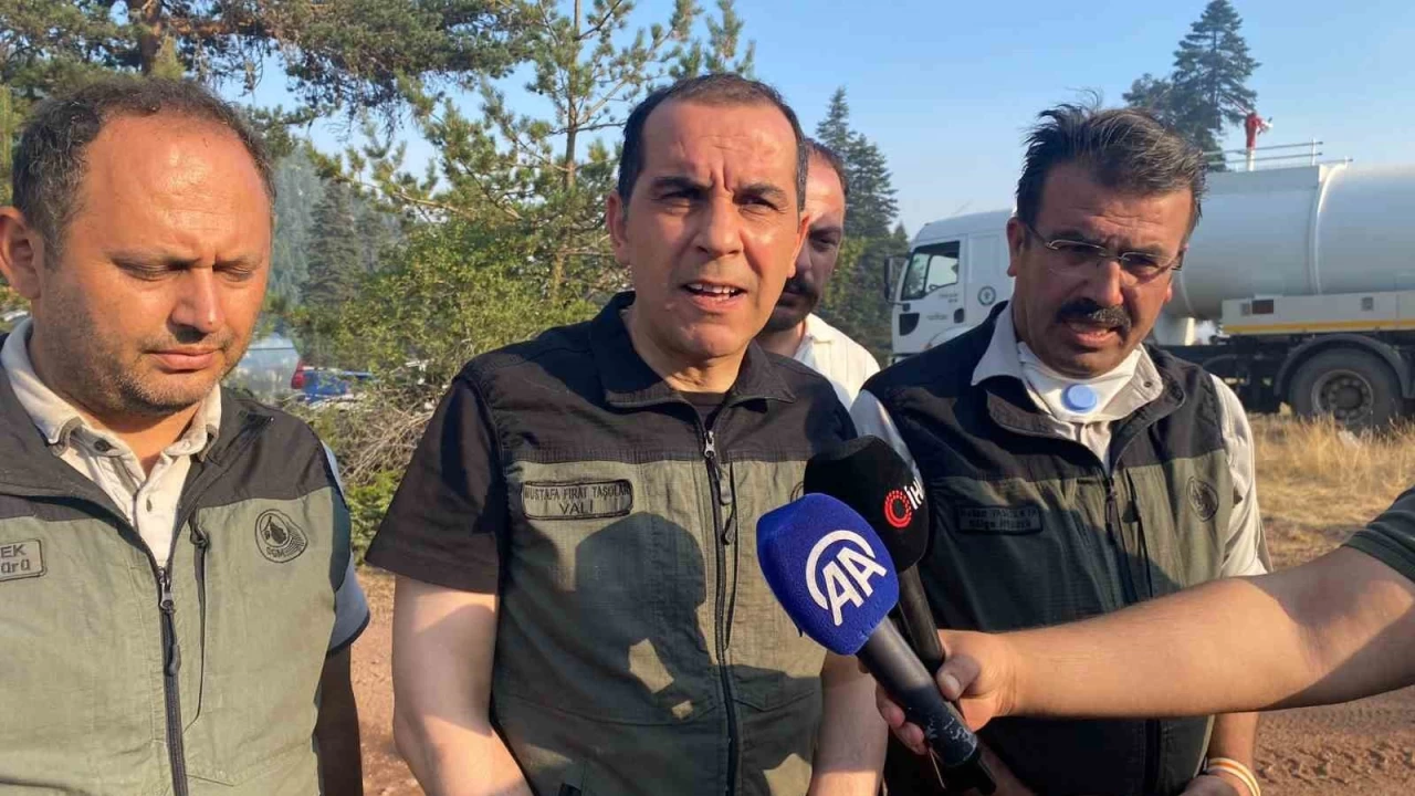 �ank�r� Valisi Ta�olar: 'Yang�n�n ilerleyi�i durduruldu'
