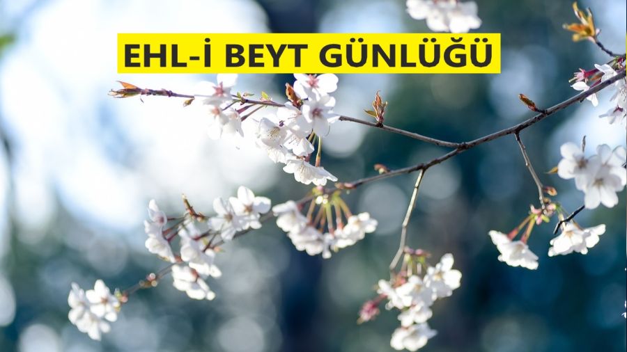 ‘Cennet ehli velayeti kabul edenlerdir