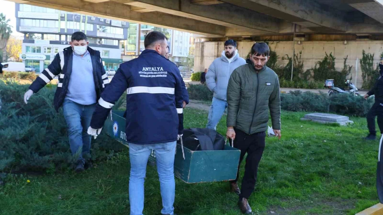 Cesedi g�nler sonra gelen kokuyla tesad�fen bulundu