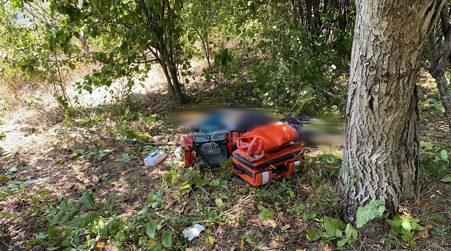 Ceviz ağacından düşen yaşlı kadın öldü