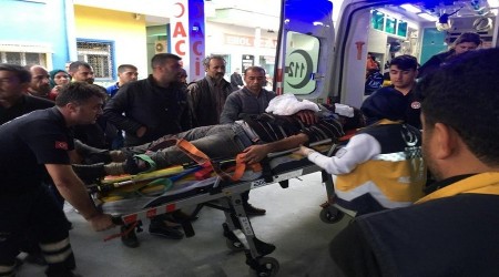 Ceyhan’da can pazarı