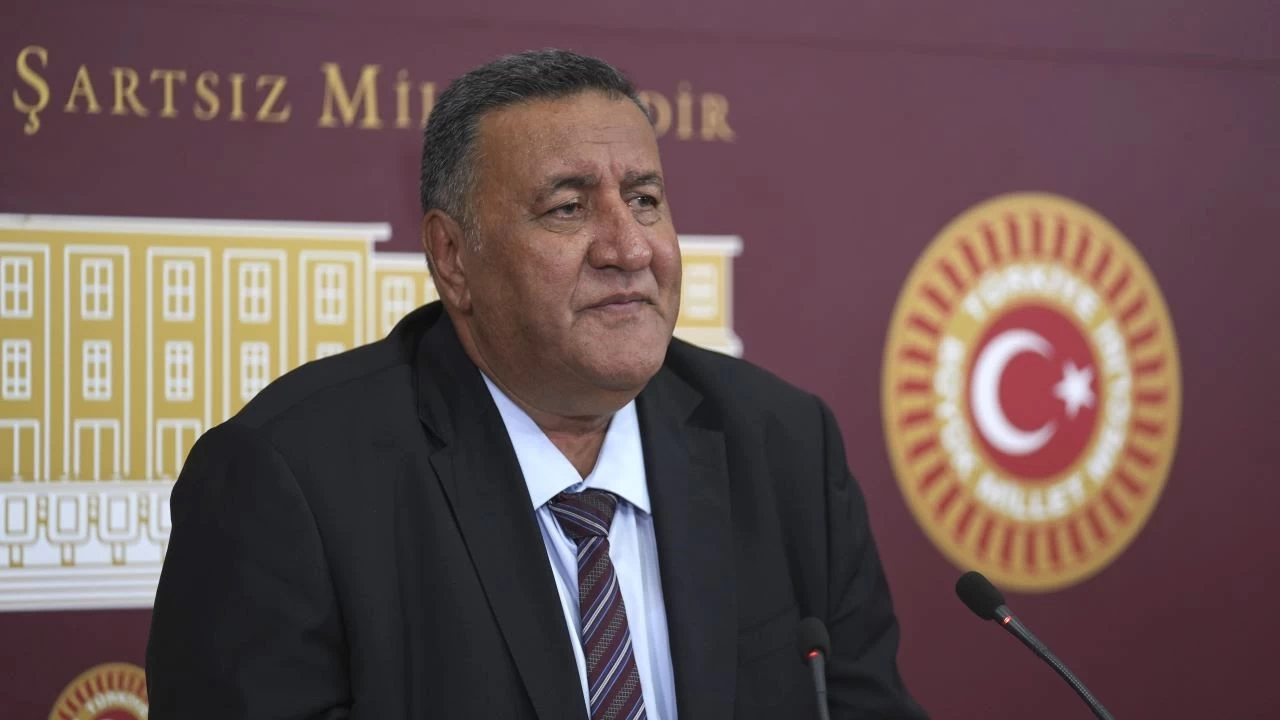 CHP'li G�rer'den, sokak hayvanlar� kanununa tepki 