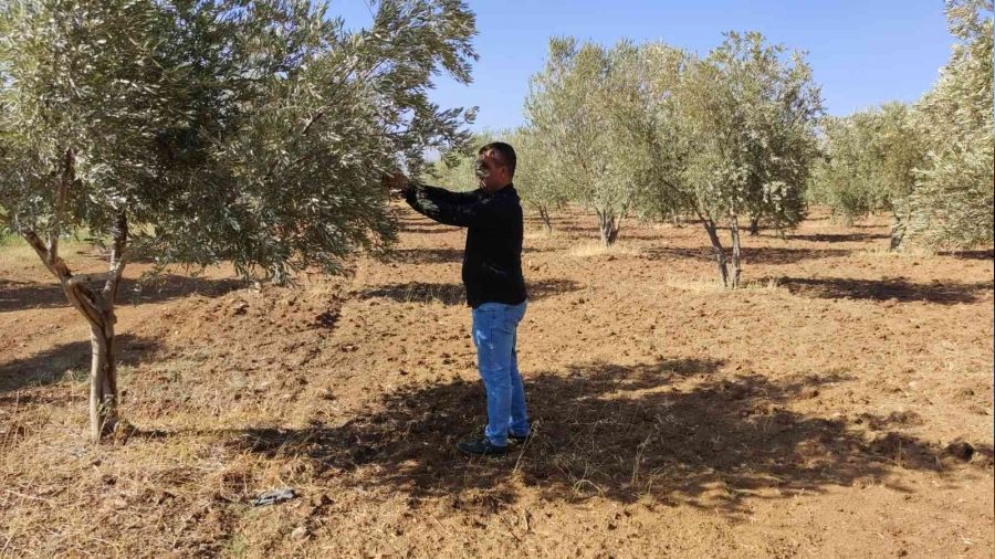 �ift�iler kurakl��� baraj sular�yla a�mak istiyor